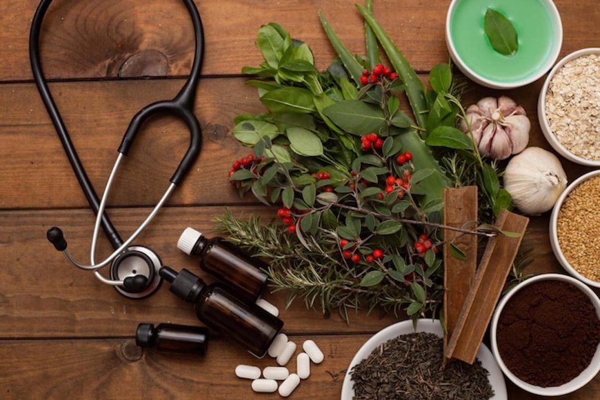 Herbal Medicine in Modern Healthcare